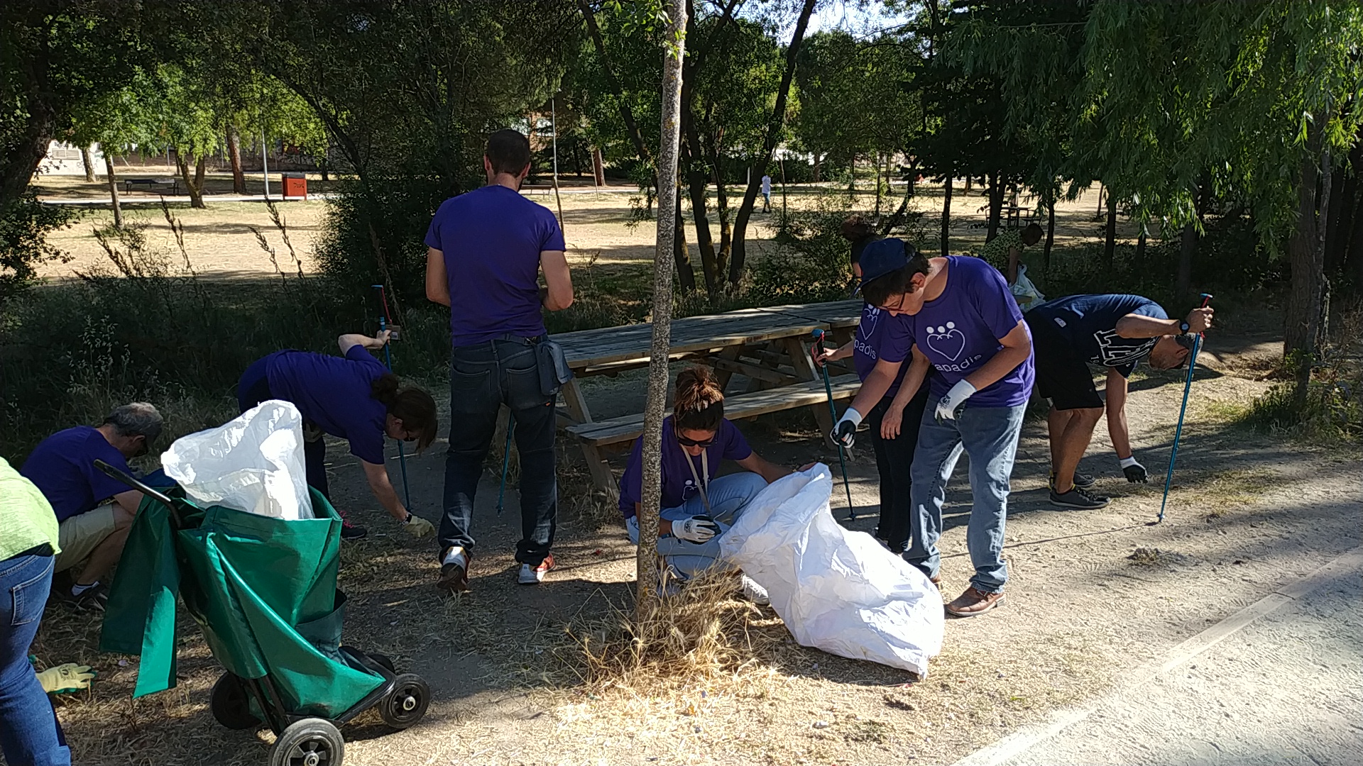 Voluntariado de APADIS en una accion medioambiental en La Dehesa